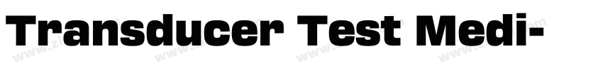 Transducer Test Medi字体转换